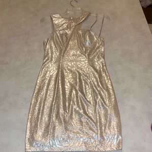 Shiny white gold/silver dress